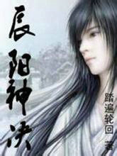 辰阳神决