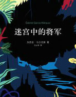 迷宫中的将军